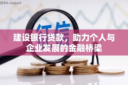 大宁建设银行贷款，助力个人与企业发展的金融桥梁