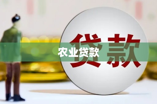 大宁农业贷款