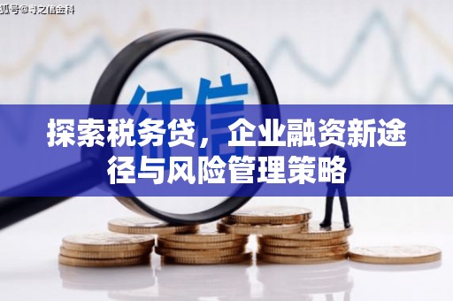 大宁探索税务贷，企业融资新途径与风险管理策略