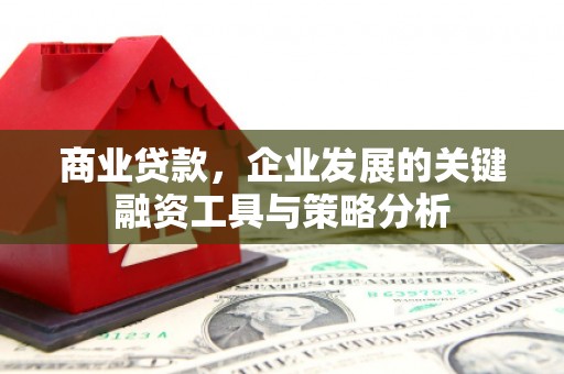 大宁商业贷款，企业发展的关键融资工具与策略分析