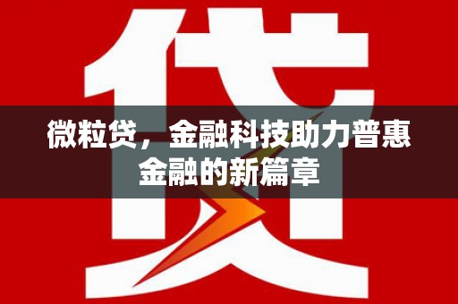 大宁微粒贷，金融科技助力普惠金融的新篇章