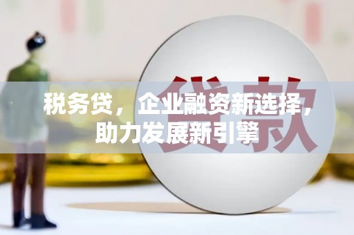 大宁税务贷，企业融资新选择，助力发展新引擎