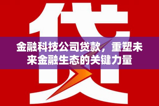 大宁金融科技公司贷款，重塑未来金融生态的关键力量