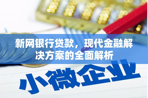 大宁新网银行贷款，现代金融解决方案的全面解析