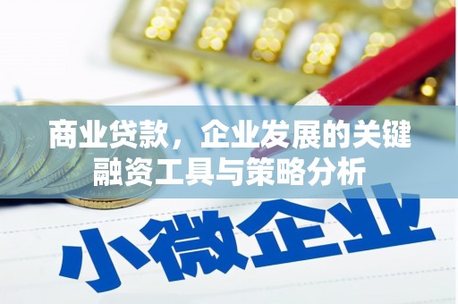 大宁商业贷款，企业发展的关键融资工具与策略分析