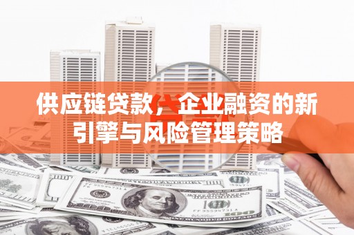 大宁供应链贷款，企业融资的新引擎与风险管理策略