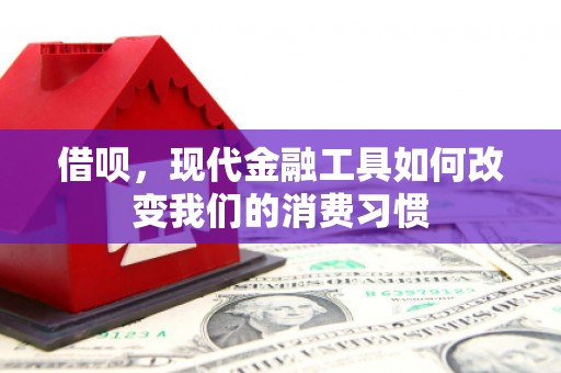 大宁借呗，现代金融工具如何改变我们的消费习惯