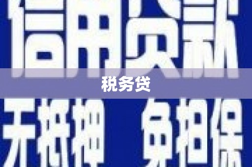 大宁税务贷