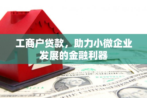 大宁工商户贷款，助力小微企业发展的金融利器