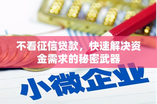 大宁不看征信贷款，快速解决资金需求的秘密武器