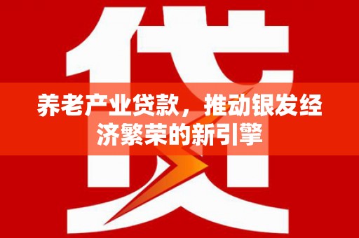 大宁养老产业贷款，推动银发经济繁荣的新引擎