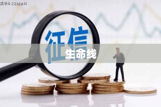 大宁生命线