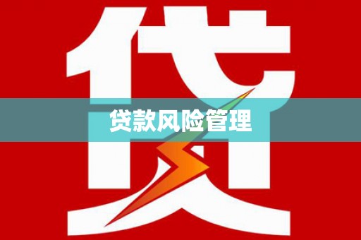 大宁贷款风险管理