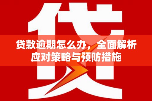 大宁贷款逾期怎么办，全面解析应对策略与预防措施