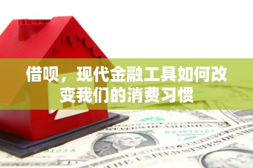 大宁借呗，现代金融工具如何改变我们的消费习惯
