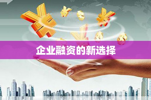 大宁企业融资的新选择