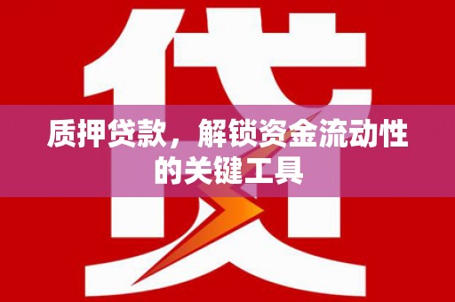 大宁质押贷款，解锁资金流动性的关键工具
