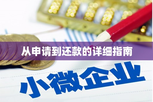 大宁从申请到还款的详细指南