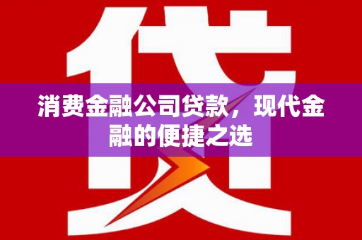 大宁消费金融公司贷款，现代金融的便捷之选