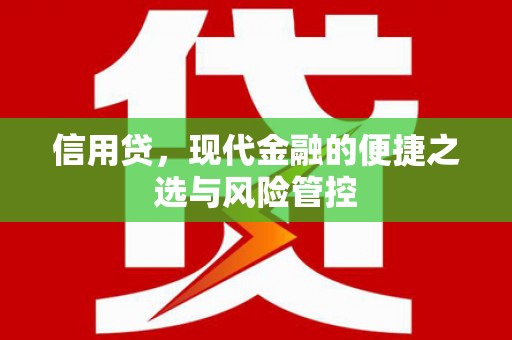 大宁信用贷，现代金融的便捷之选与风险管控