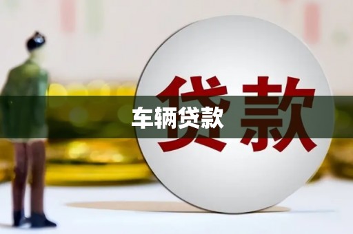 大宁车辆贷款