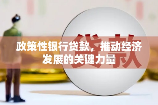大宁政策性银行贷款，推动经济发展的关键力量