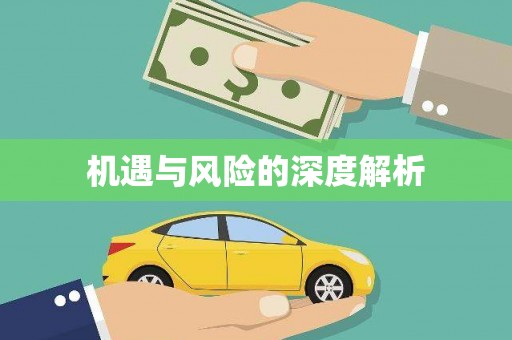 大宁机遇与风险的深度解析