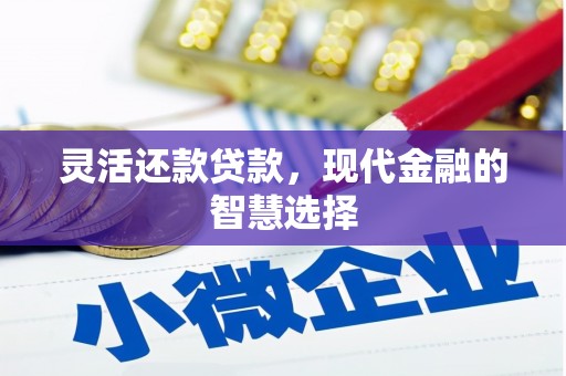 大宁灵活还款贷款，现代金融的智慧选择