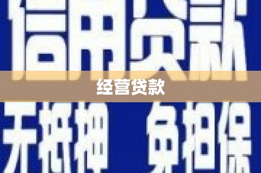 大宁经营贷款