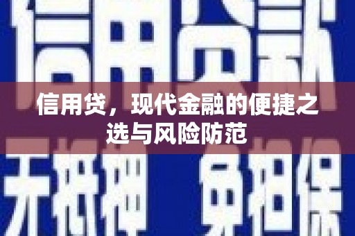 大宁信用贷，现代金融的便捷之选与风险防范