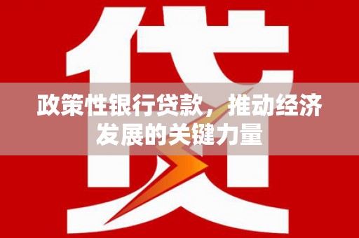 大宁政策性银行贷款，推动经济发展的关键力量