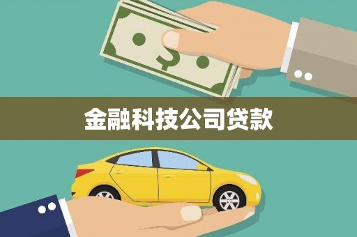 大宁金融科技公司贷款