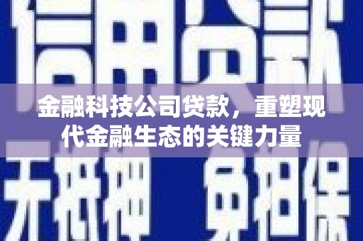 大宁金融科技公司贷款，重塑现代金融生态的关键力量