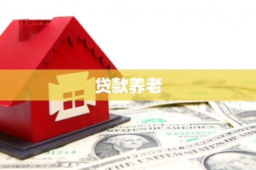 大宁贷款养老