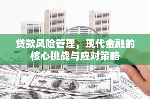 大宁贷款风险管理，现代金融的核心挑战与应对策略