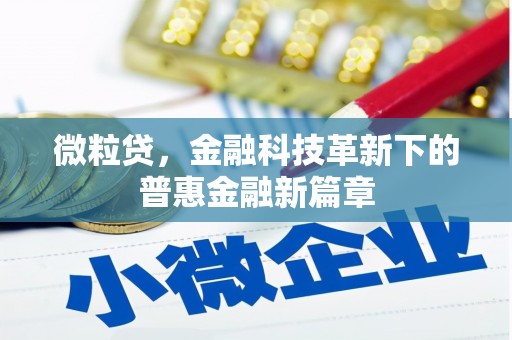 大宁微粒贷，金融科技革新下的普惠金融新篇章