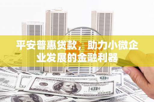 大宁平安普惠贷款，助力小微企业发展的金融利器