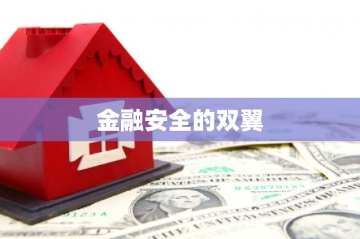 大宁金融安全的双翼
