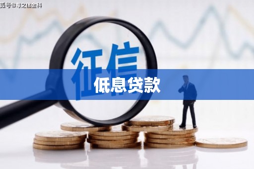大宁低息贷款