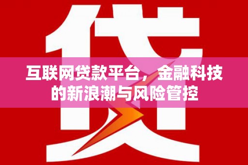 大宁互联网贷款平台，金融科技的新浪潮与风险管控