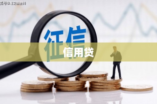 大宁信用贷