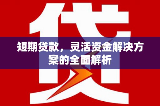 大宁短期贷款，灵活资金解决方案的全面解析