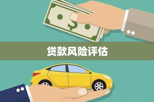 大宁贷款风险评估