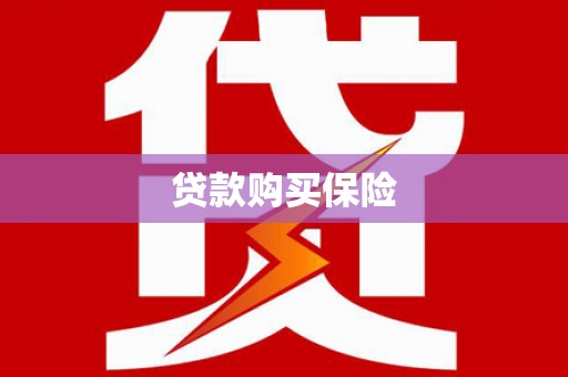 大宁贷款购买保险