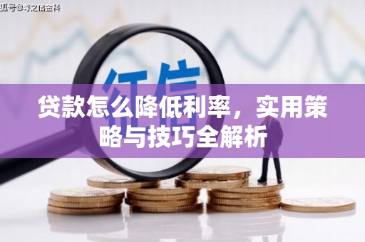 大宁贷款怎么降低利率，实用策略与技巧全解析