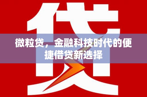 大宁微粒贷，金融科技时代的便捷借贷新选择