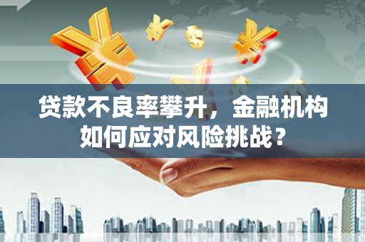 大宁贷款不良率攀升，金融机构如何应对风险挑战？