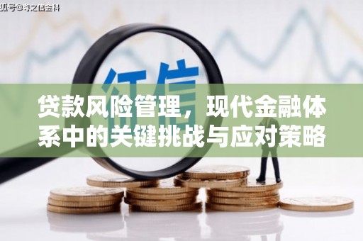大宁贷款风险管理，现代金融体系中的关键挑战与应对策略