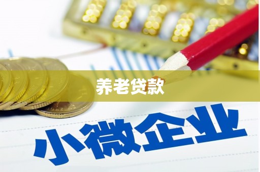大宁养老贷款