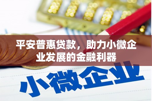 大宁平安普惠贷款，助力小微企业发展的金融利器